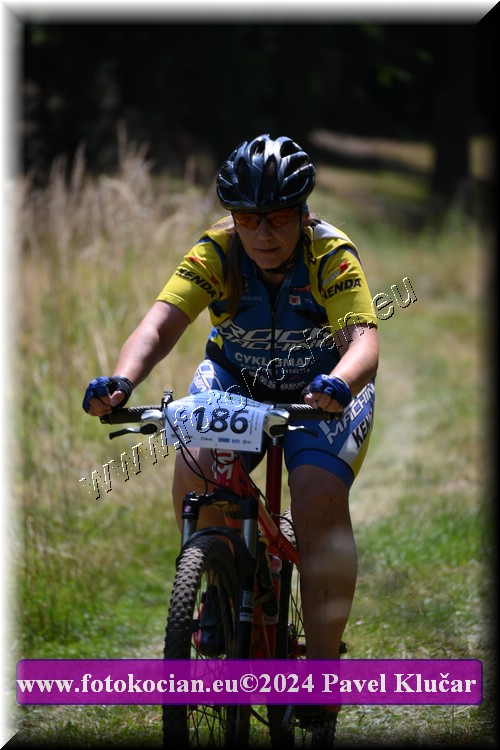 Náhled obrázku: 2024-2233-LazneBelohrad-186.JPG