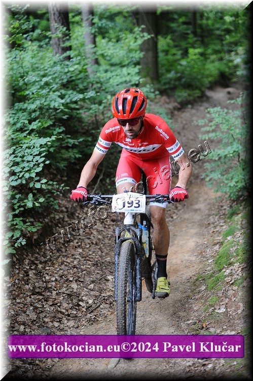 Náhled obrázku: 2024-2434-LazneBelohrad-193.JPG