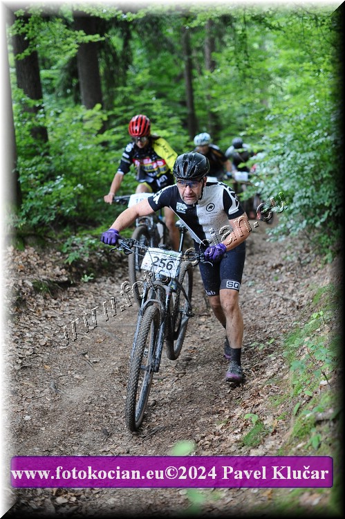 Náhled obrázku: 2024-2447-LazneBelohrad-256.JPG