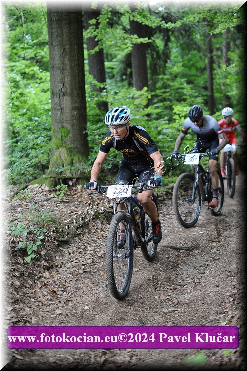 Náhled obrázku: 2024-2449-LazneBelohrad-220.JPG