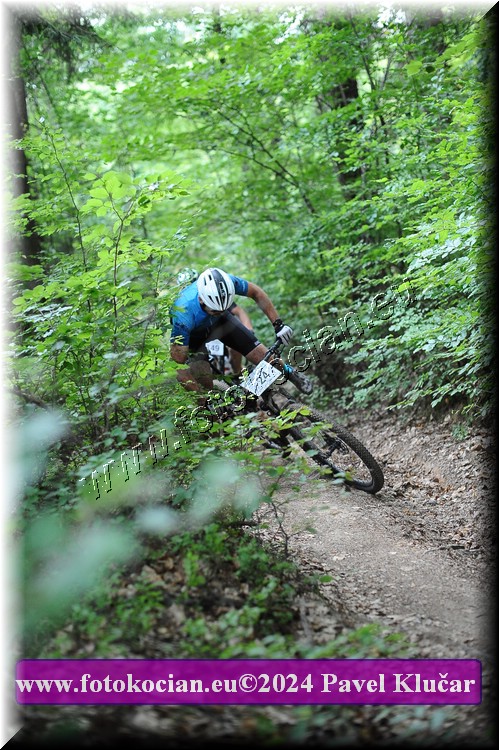 Náhled obrázku: 2024-2455-LazneBelohrad-24.JPG