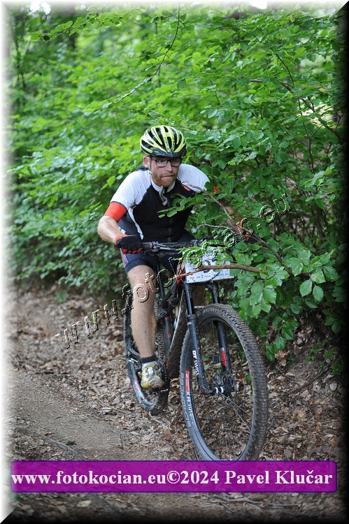 Náhled obrázku: 2024-2462-LazneBelohrad-92.JPG