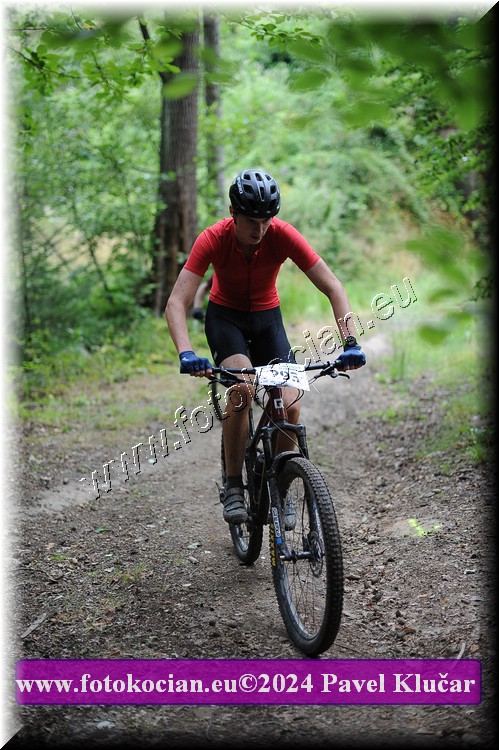 Náhled obrázku: 2024-2471-LazneBelohrad-293.JPG