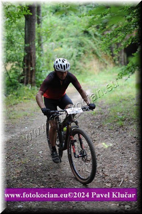 Náhled obrázku: 2024-2472-LazneBelohrad-283.JPG