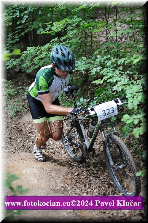 Náhled obrázku: 2024-2485-LazneBelohrad-323.JPG