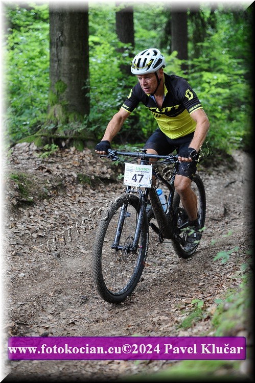 Náhled obrázku: 2024-2487-LazneBelohrad-47.JPG