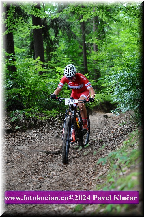 Náhled obrázku: 2024-2488-LazneBelohrad-261.JPG