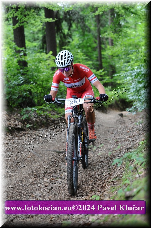 Náhled obrázku: 2024-2489-LazneBelohrad-261.JPG