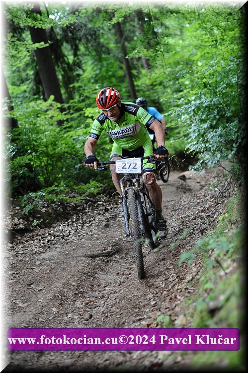 Náhled obrázku: 2024-2492-LazneBelohrad-272.JPG