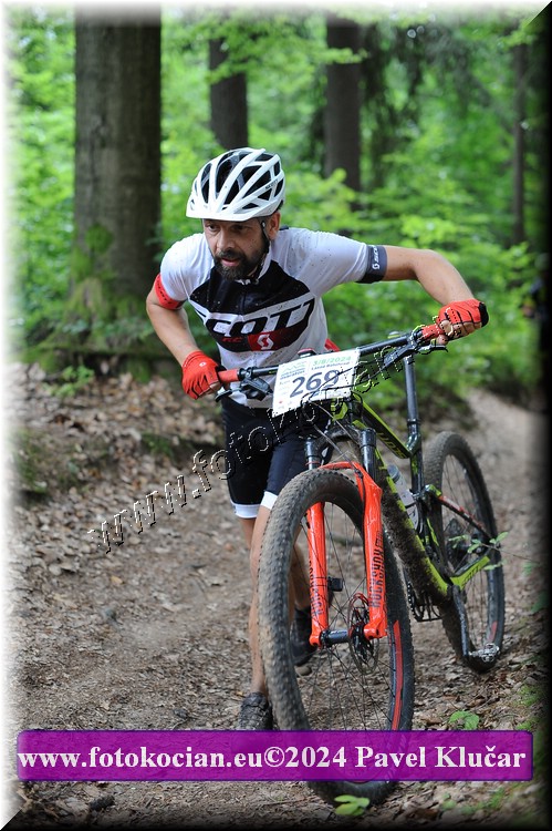 Náhled obrázku: 2024-2499-LazneBelohrad-269.JPG