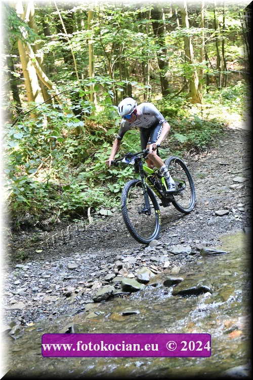 Náhled obrázku: 2024-1376-Caledna-0.JPG