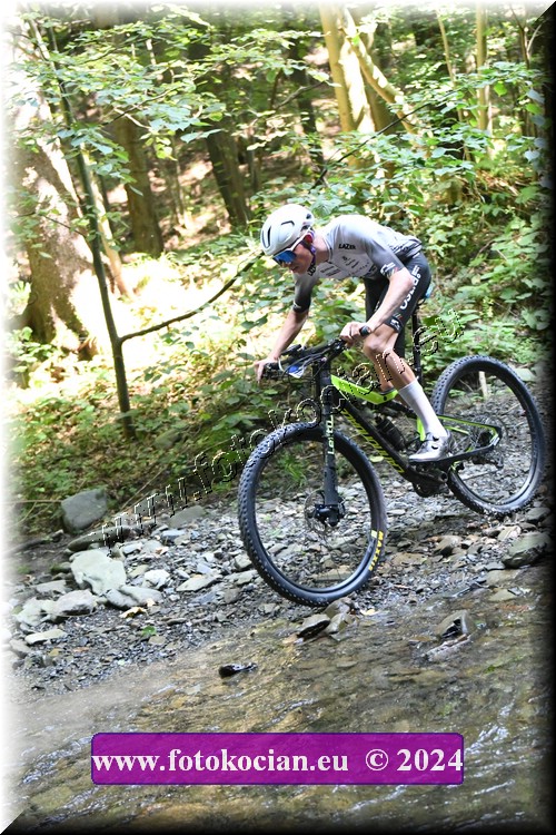 Náhled obrázku: 2024-1377-Caledna-0.JPG