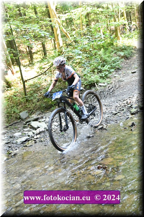 Náhled obrázku: 2024-1422-Caledna-510.JPG