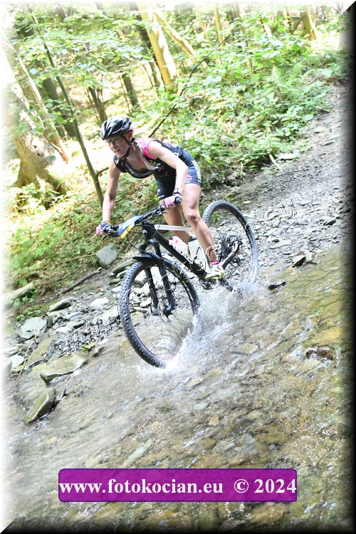 Náhled obrázku: 2024-1428-Caledna-447.JPG