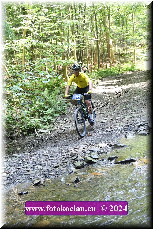 Náhled obrázku: 2024-1441-Caledna-597.JPG