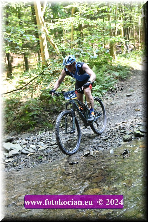 Náhled obrázku: 2024-1445-Caledna-550.JPG