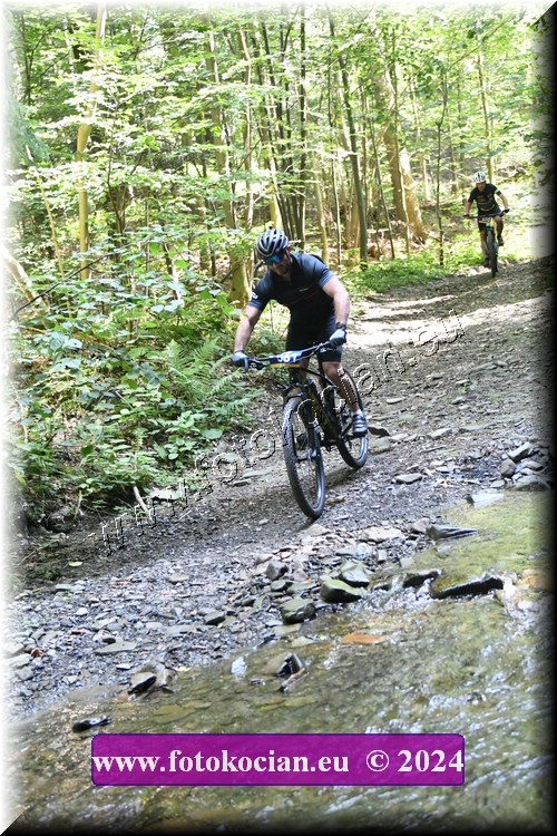 Náhled obrázku: 2024-1451-Caledna-561.JPG