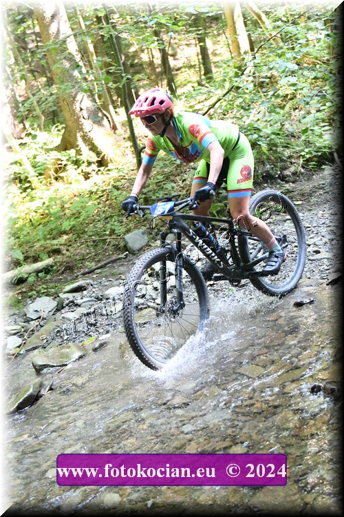 Náhled obrázku: 2024-1464-Caledna-557.JPG