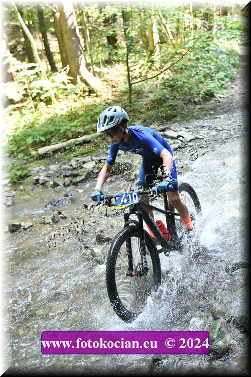 Náhled obrázku: 2024-1485-Caledna-410.JPG