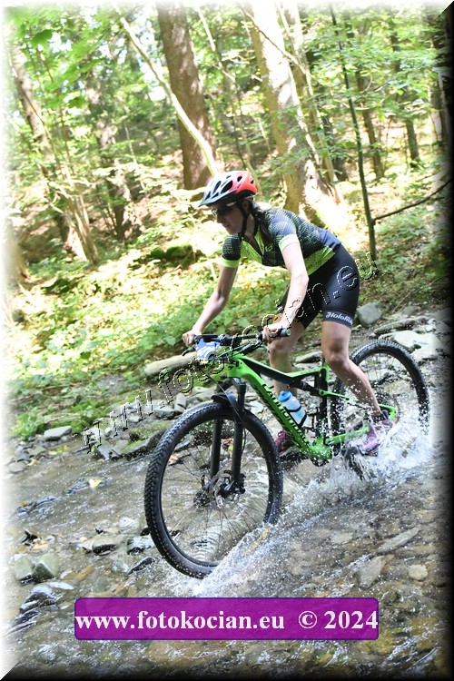 Náhled obrázku: 2024-1499-Caledna-487.JPG