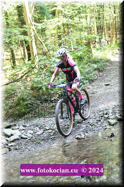 Náhled obrázku: 2024-1502-Caledna-439.JPG