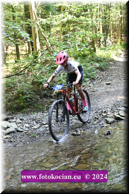 Náhled obrázku: 2024-1548-Caledna-435.JPG