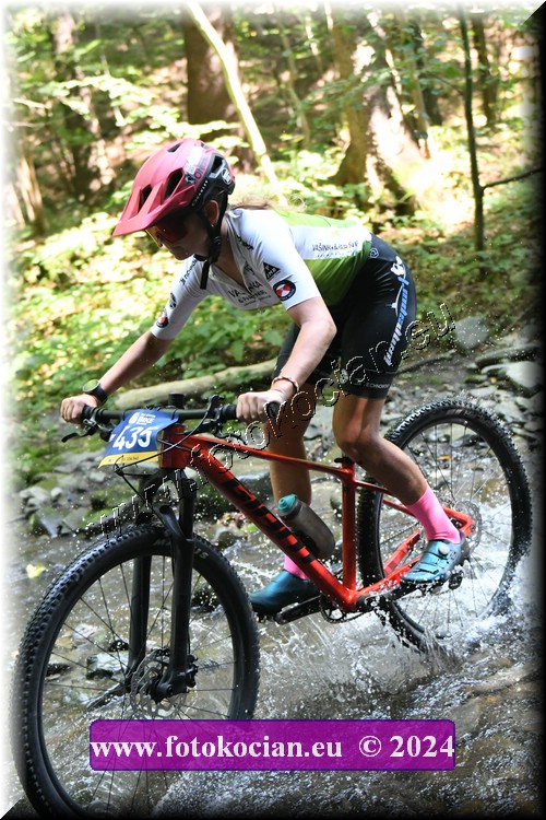 Náhled obrázku: 2024-1549-Caledna-435.JPG