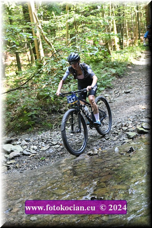 Náhled obrázku: 2024-1558-Caledna-447.JPG