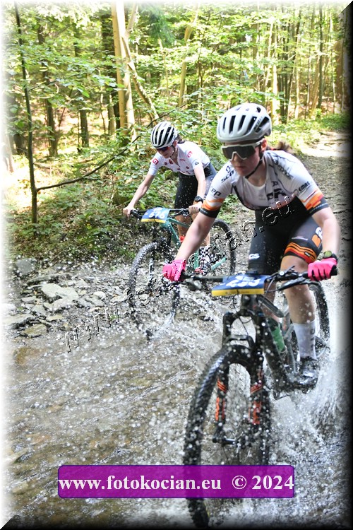 Náhled obrázku: 2024-1562-Caledna-576.JPG