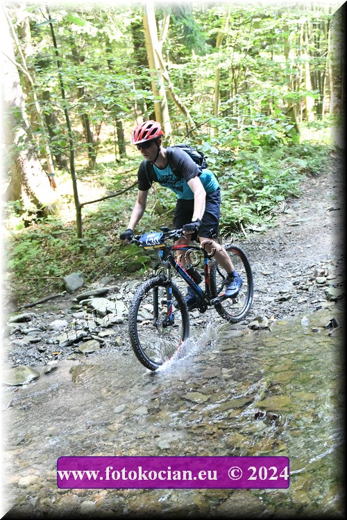 Náhled obrázku: 2024-1579-Caledna-430.JPG