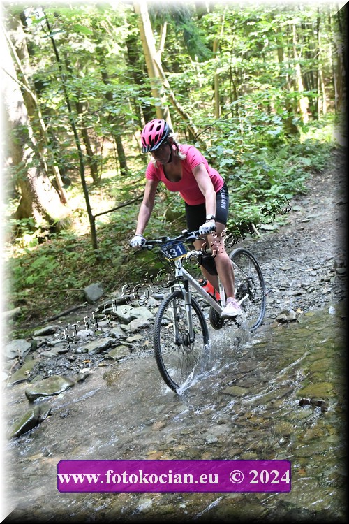 Náhled obrázku: 2024-1593-Caledna-431.JPG