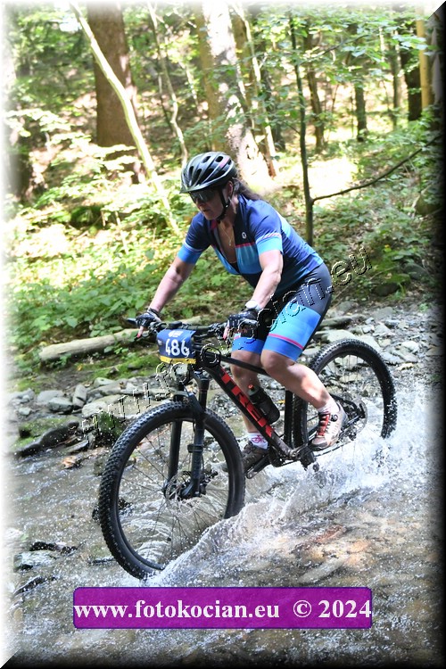 Náhled obrázku: 2024-1620-Caledna-486.JPG