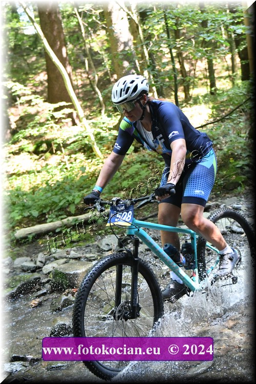 Náhled obrázku: 2024-1636-Caledna-508.JPG