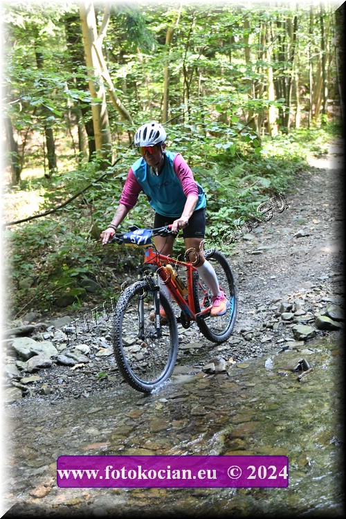 Náhled obrázku: 2024-1638-Caledna-577.JPG