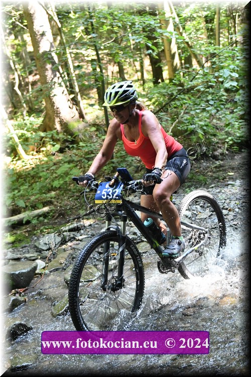 Náhled obrázku: 2024-1650-Caledna-532.JPG