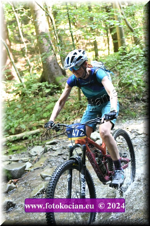 Náhled obrázku: 2024-1681-Caledna-472.JPG