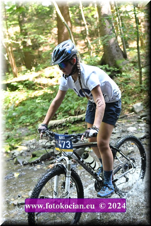 Náhled obrázku: 2024-1682-Caledna-473.JPG