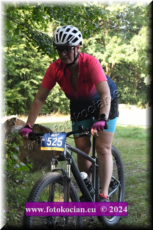 Náhled obrázku: 2024-1684-Caledna-525.JPG