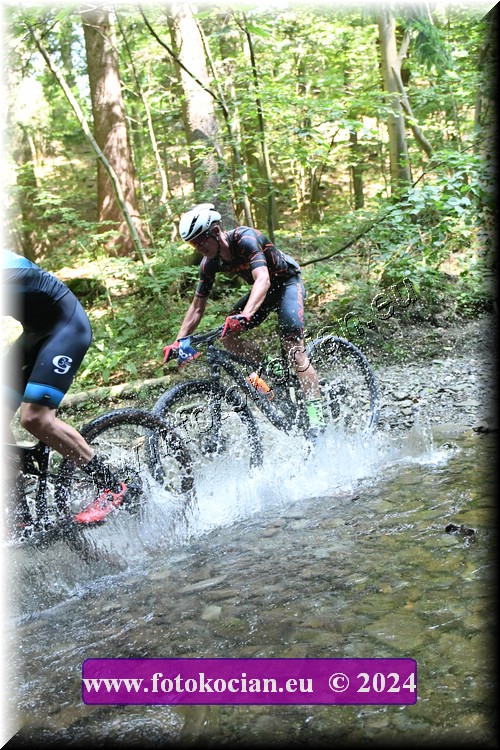 Náhled obrázku: 2024-1698-Caledna-8.JPG