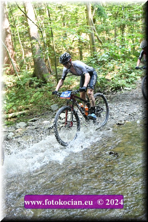 Náhled obrázku: 2024-1703-Caledna-149.JPG