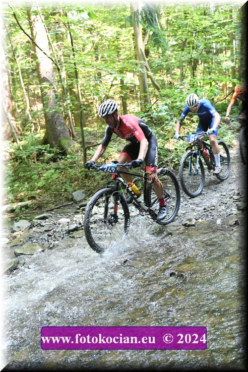 Náhled obrázku: 2024-1704-Caledna-249.JPG