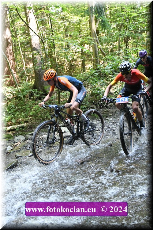 Náhled obrázku: 2024-1706-Caledna-194,113.JPG