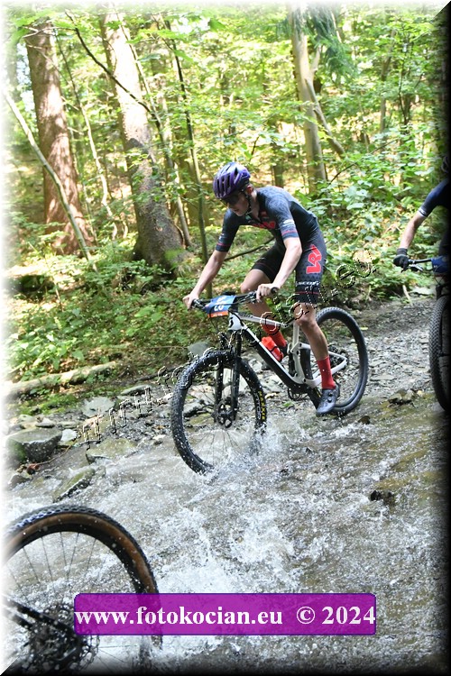 Náhled obrázku: 2024-1708-Caledna-28.JPG