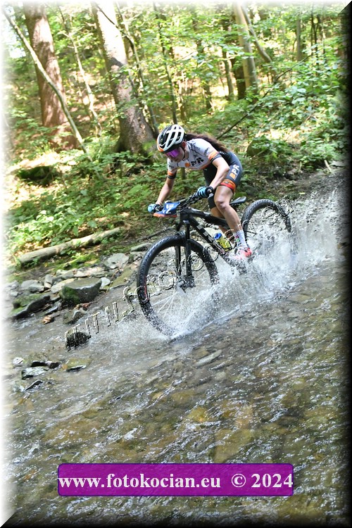 Náhled obrázku: 2024-1744-Caledna-12.JPG