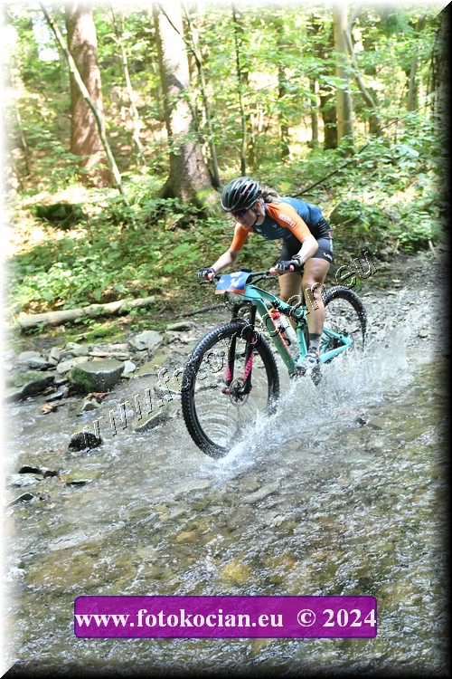 Náhled obrázku: 2024-1761-Caledna-14.JPG