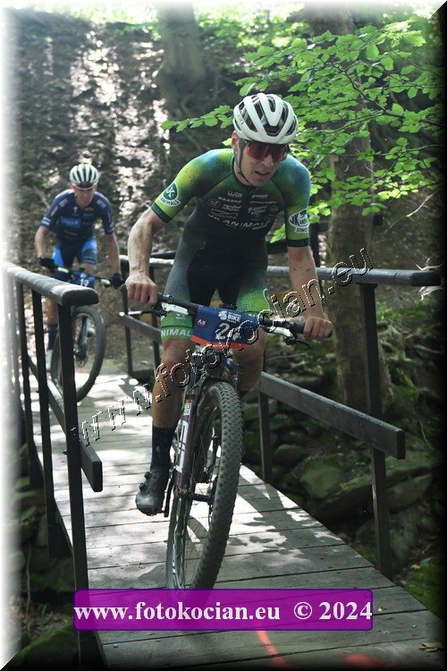 Náhled obrázku: 2024-1950-Caledna-24.JPG