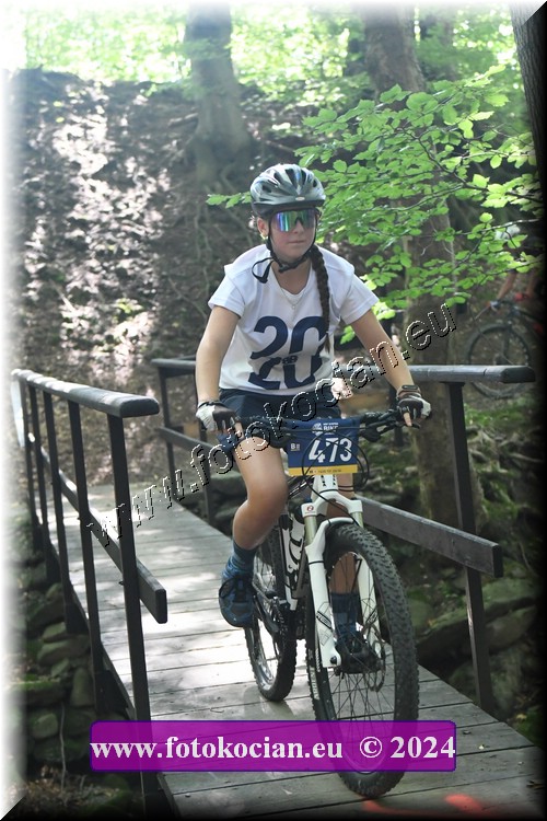 Náhled obrázku: 2024-1970-Caledna-473.JPG