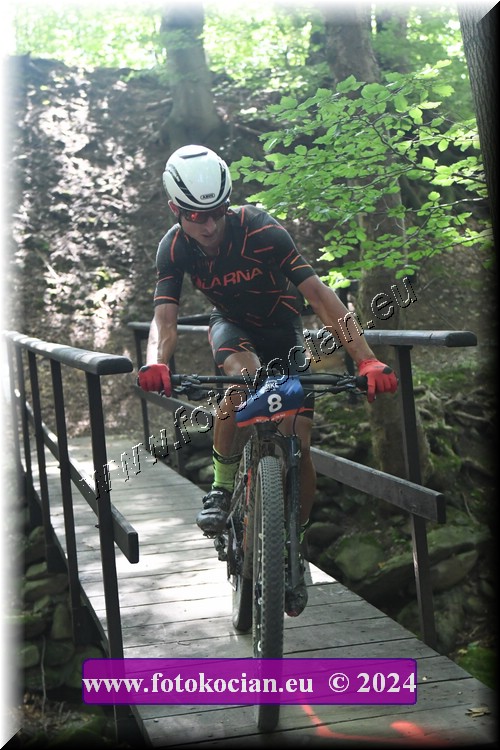 Náhled obrázku: 2024-1971-Caledna-8.JPG