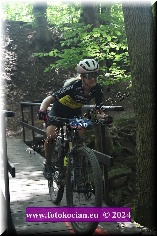 Náhled obrázku: 2024-1980-Caledna-10.JPG