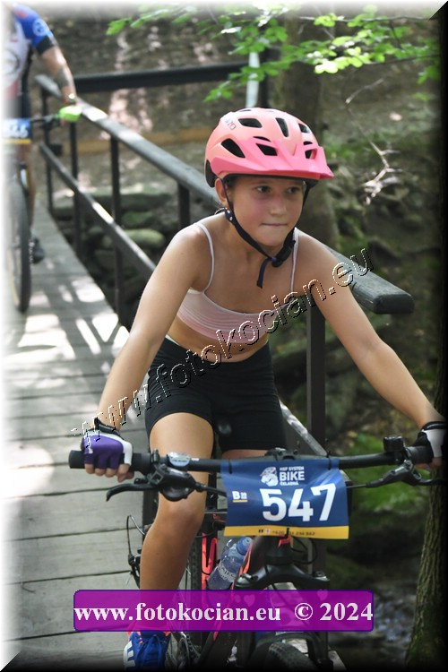 Náhled obrázku: 2024-2001-Caledna-547.JPG